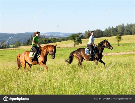 follada con caballos